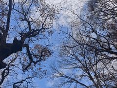 -终南山南五台景区