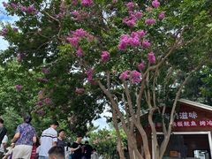 -刘公岛景区