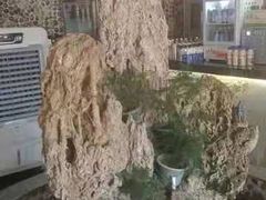 -都江堰石锅鱼