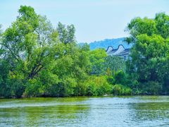 -长兴太湖图影湿地文化园