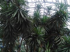 -南山植物园