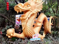 -广州长隆飞鸟乐园