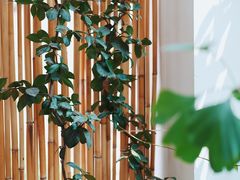 -边渡咖啡烘焙店(昙华林店)
