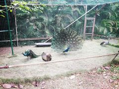 -厦门日月谷温泉渡假村