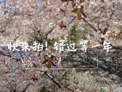 -辽宁省实验学校(赤山校区)