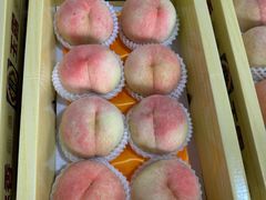 -南汇水蜜桃采摘(大团店)