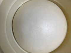 -1937青岛老味道·海肠捞饭·青岛菜(大鲍岛栈桥店)