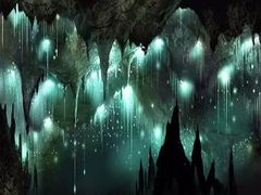 -怀托摩萤火虫洞