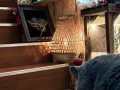 -Rabbit Cafe私房西餐甜点咖啡(栖霞路店)