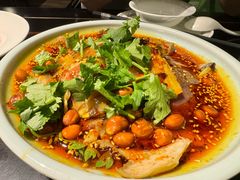 -陈麻婆豆腐总店