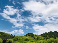 -王顺山国家森林公园