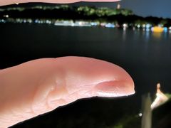 -湖畔居茶楼(湖滨店)