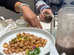 -丁老爷子苏香圆