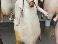 -粥旺庄(芳村店)