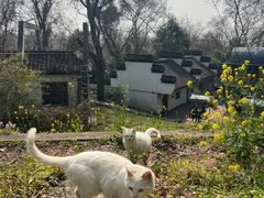 -采石矶景区