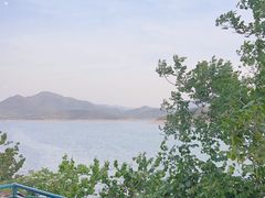 -望湖烤鱼