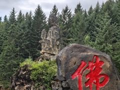 -茅兰沟国家森林公园