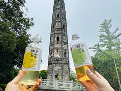 -上海佘山国家森林公园天马山园