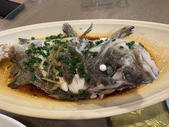 -福建美食城(老君堂店)