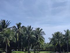 -三亚海棠湾喜来登度假酒店