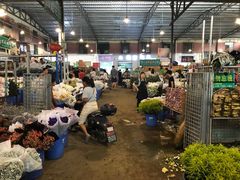 -三圣花乡旅游区