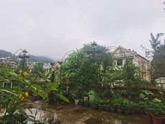 -先机泉水鸡汤(南山老君洞店)