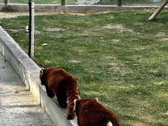 -水上乐园·欢乐世界