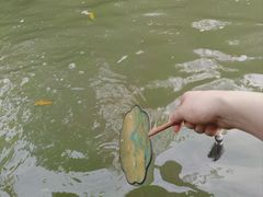 -烟水渔庄餐厅(西溪湿地店)