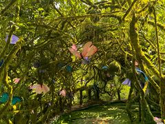 -沂蒙云瀑洞天景区