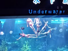 -泉城欧乐堡海洋极地世界