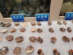 -新洪记·丽久饭店(铁西店)