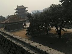 -北陵公园