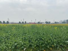 -中国天府农业博览园