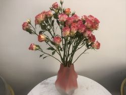 -恩舍瑜伽普拉提