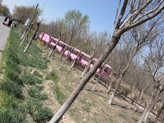 -西青郊野公园