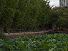 -蔼若春.传承三十年云南菜(金碧公园店)