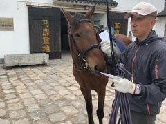 -松声马术俱乐部