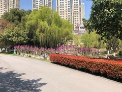 -白塘生态植物园