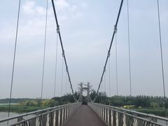 -西青郊野公园