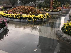 -西北湖绿化广场