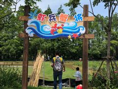 -上海长兴岛郊野公园