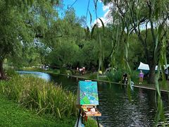 -上海共青森林公园