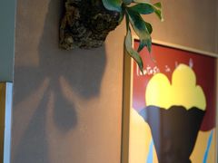 -luutosa  cafe & tea 鹿兔山