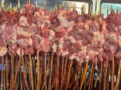 红柳烤肉-艾力江和田馕坑烤肉店