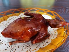 -盏记光明乳鸽(盐田八分店)