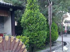 -天龙八部武侠城