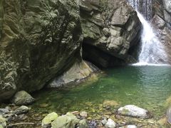 -牛背梁国家森林公园