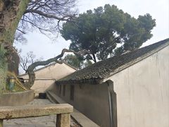 -苏州上方山国家森林公园