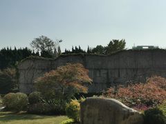 -嘉定紫藤园