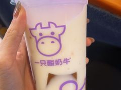 -一只酸奶牛(春熙路店)